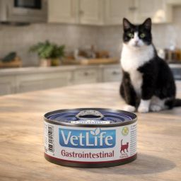 Vet Life Cat Wet Gastrointestinal 1