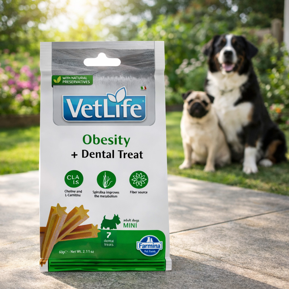 Vet Life Dental Treats Obesity 2