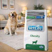 Vet Life Dog Obesity 1
