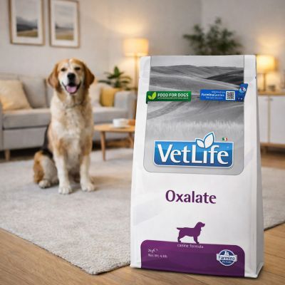 Vet Life Dog Oxalate