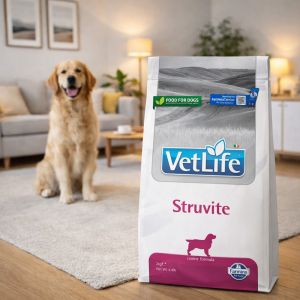 Vet Life Dog Struvite