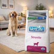 Vet Life Dog Struvite 1