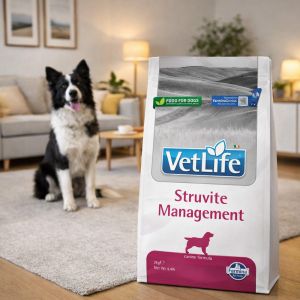Vet Life Dog Struvite Management
