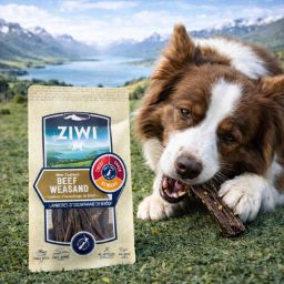 Ziwi Chews Dog Beef Weasand Pouch 4