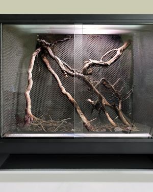 Mini Ecosysteem Bioactive