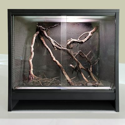 Mini Ecosysteem Bioactive