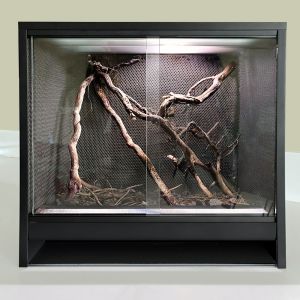 Mini Ecosysteem Bioactive