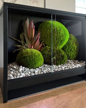 Mini Ecosysteem Bioactive