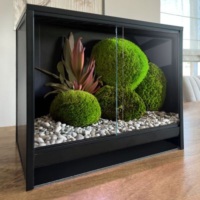Mini Ecosysteem Bioactive