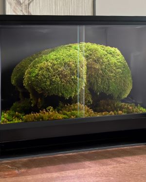 Mini Ecosysteem Canopy