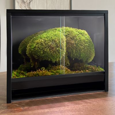 Mini Ecosysteem Canopy