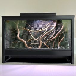 mossarium 1
