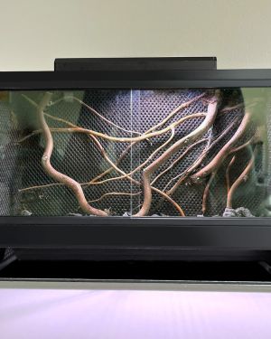 Mini Ecosysteem Mossarium