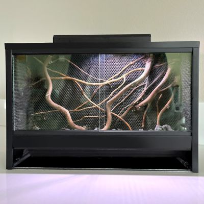 Mini Ecosysteem Mossarium