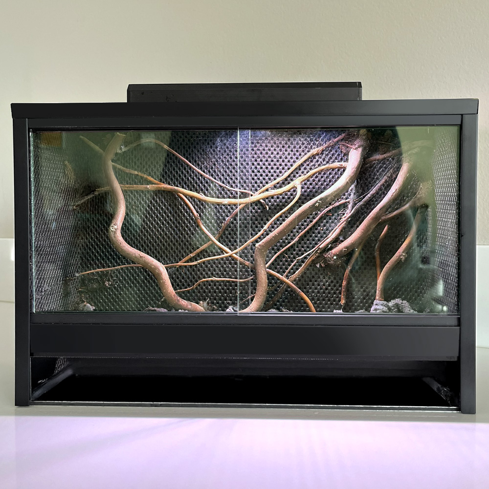 mossarium 1