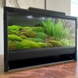 waarom mos in terrarium