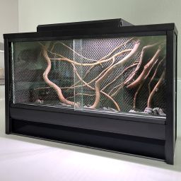 mossarium 2