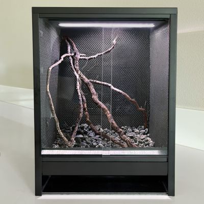 Mini Ecosysteem Rainforest
