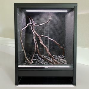 Mini Ecosysteem Rainforest