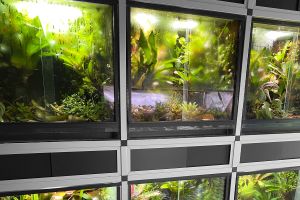 Terrarium Techniek