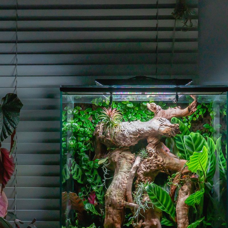 Terrarium verlichting