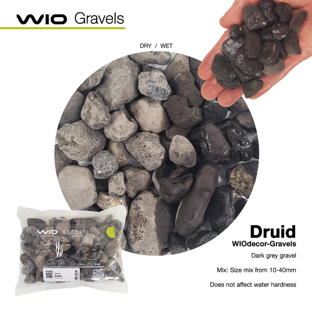 wio druid gravel 1